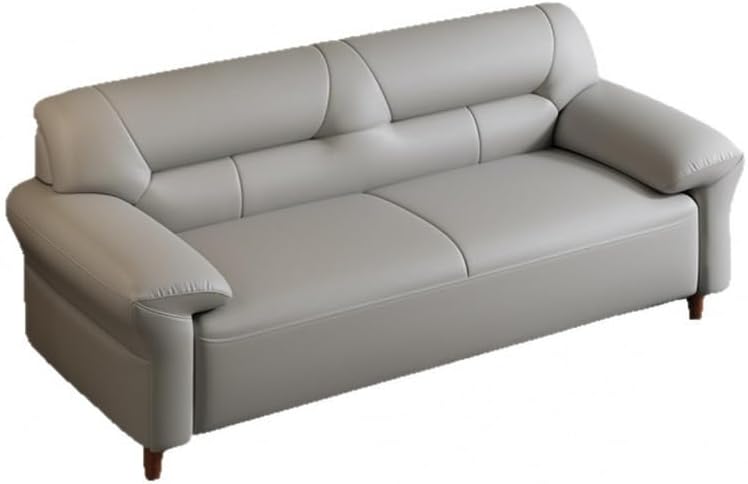 AFPSDLFJDLS Nordic Leather Living Room Suitable for Home Office Furniture Sofa : Home &amp; Kitchen