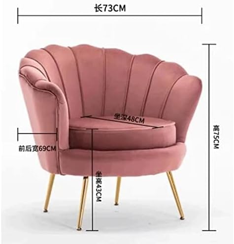 ONMYJFD Golden Iron Metal Velvet Royal Sofa Dressing Chair Coffee Living Room Garden Sofa Set Furniture : Home &amp; Kitchen